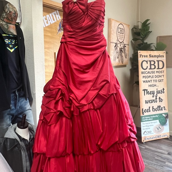 ALYCE PARIS | bubble hem one shoulder prom/quinceanera/pageant/ball gown/dress - Picture 3 of 3